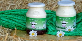 Naturbelassener Joghurt