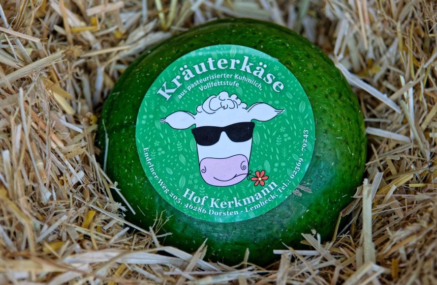 Junger Kräuterkäse