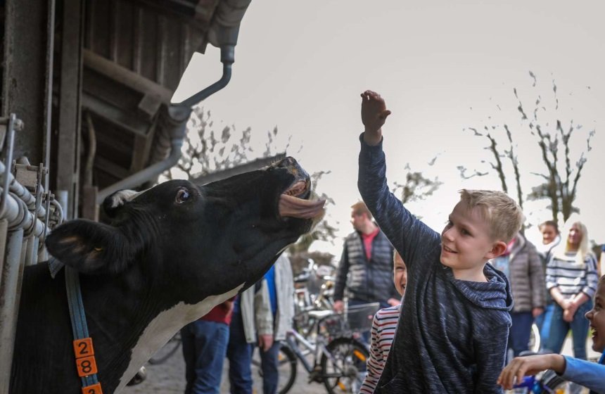 Tour de Buur bei Hof Kerkmann