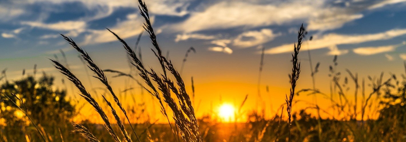 Landwirte protestieren - Sternfahrt nach Berlin